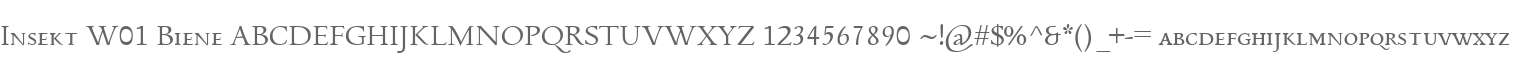 Insekt W01 Biene