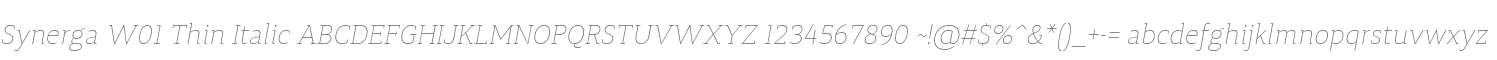 Synerga W01 Thin Italic