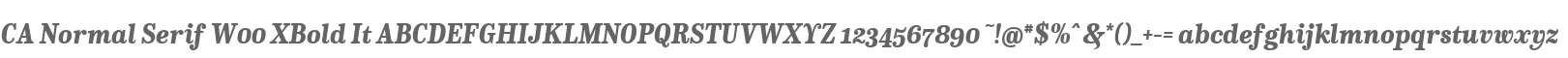 CA Normal Serif W00 XBold It