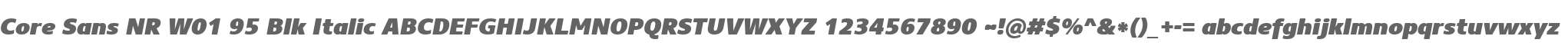 Core Sans NR W01 95 Blk Italic