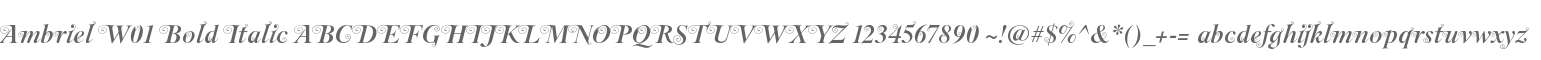 Ambriel W01 Bold Italic
