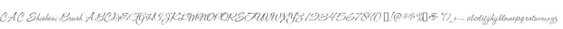 CAC Shishoni Brush