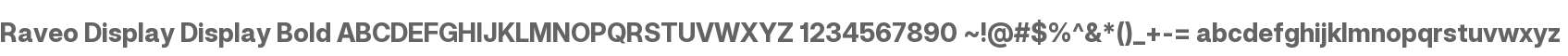Raveo Display