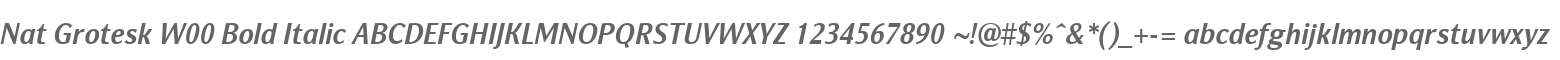 Nat Grotesk W00 Bold Italic