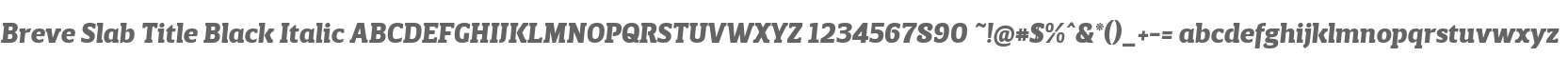 BreveSlabTitle-BlackItalic