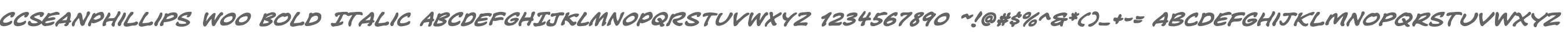 CCSeanPhillips W00 Bold Italic