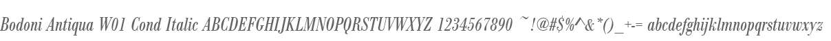 Bodoni Antiqua W01 Cond Italic