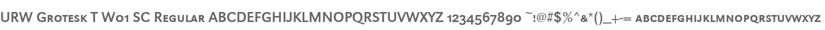 URW Grotesk T W01 SC Regular