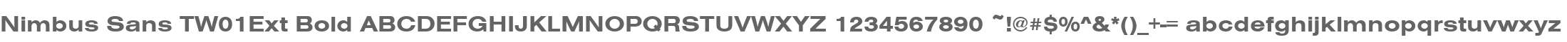 Nimbus Sans TW01Ext Bold