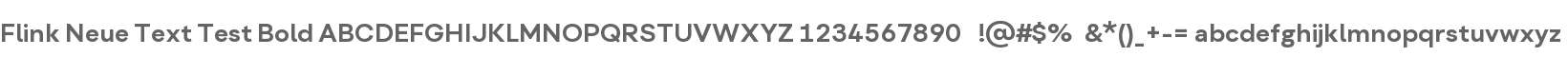 Flink Neue Text Test