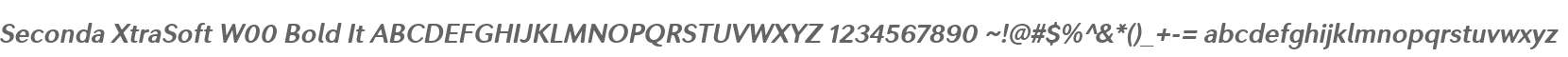 Seconda XtraSoft W00 Bold It