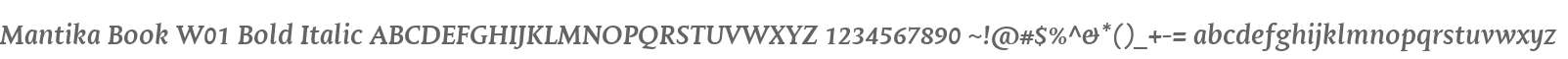 Mantika Book W01 Bold Italic