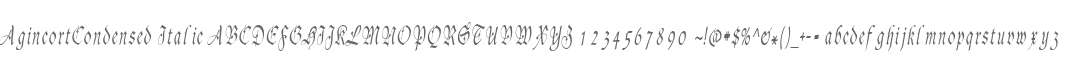AgincortCondensed Italic