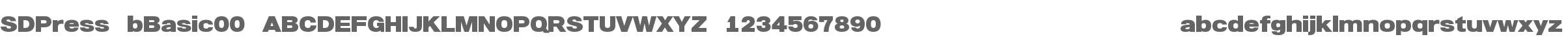 SDPress-bBasic00