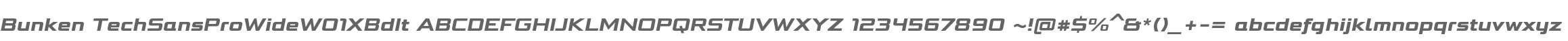 Bunken TechSansProWideW01XBdIt