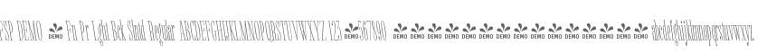 FSP DEMO - Fn Pr Lght Bck Slntd