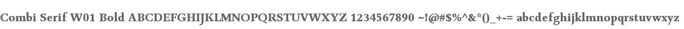 Combi Serif W01 Bold