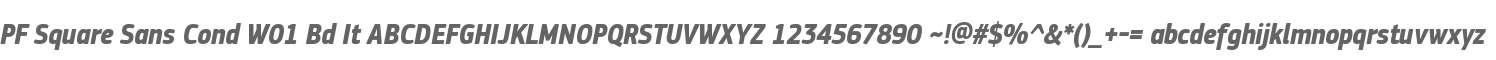 PF Square Sans Cond W01 Bd It