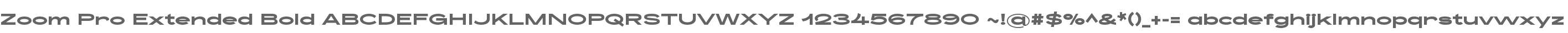 Zoom Pro Extended Bold