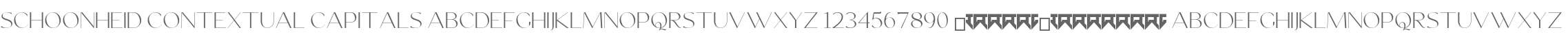 Schoonheid-Contextual Capitals