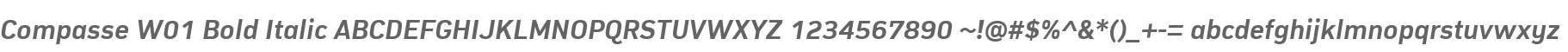 Compasse W01 Bold Italic