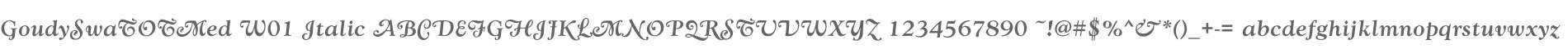 GoudySwaTOTMed W01 Italic