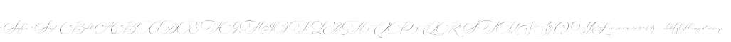 Sophia Script Bold