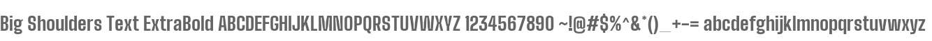 Big Shoulders Text ExtraBold