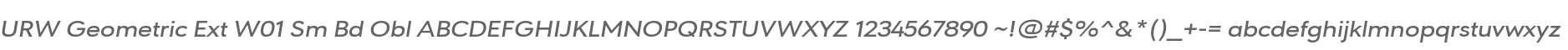 URW Geometric Ext W01 Sm Bd Obl