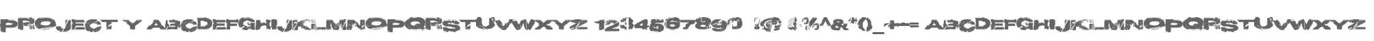Project Y