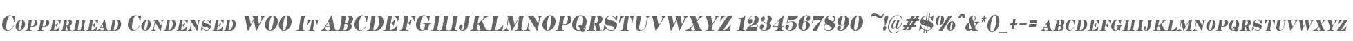 Copperhead Condensed W00 It