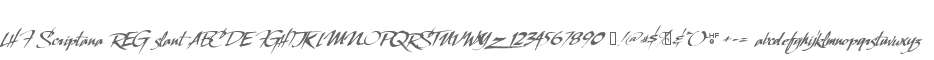 LHF Scriptana REG slant
