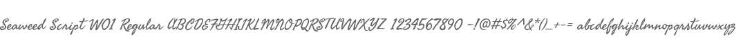 Seaweed Script W01 Regular