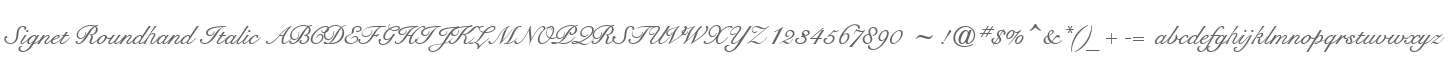 Signet Roundhand Italic