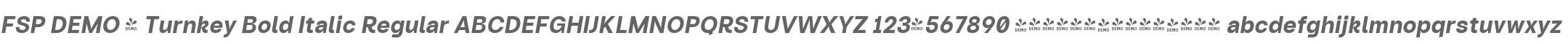 FSP DEMO - Turnkey Bold Italic