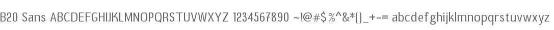 B20 Sans