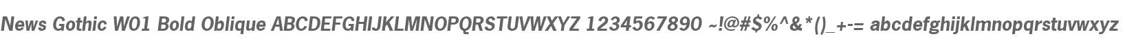 News Gothic W01 Bold Oblique