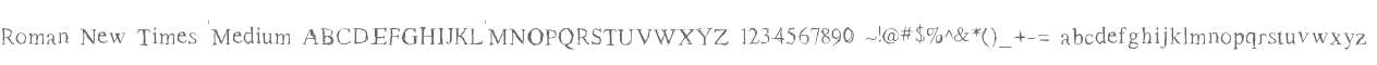 Roman New Times Medium