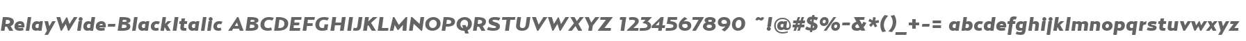 RelayWide-BlackItalic