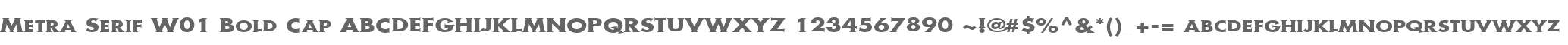 Metra Serif W01 Bold Cap