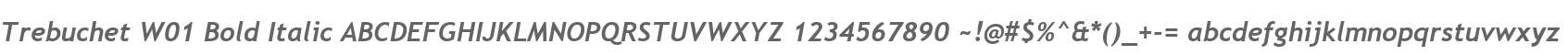 Trebuchet W01 Bold Italic