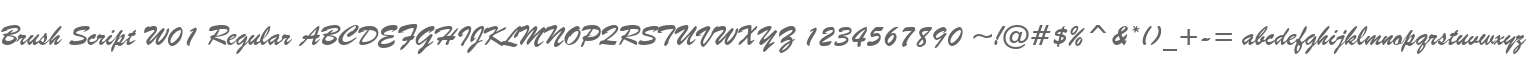 Brush Script W01 Regular