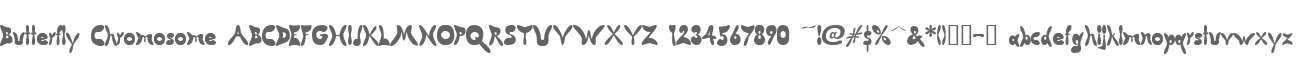 Butterfly Chromosome