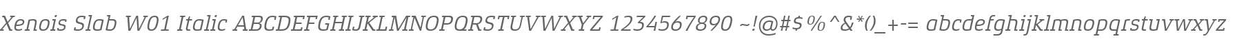 Xenois Slab W01 Italic