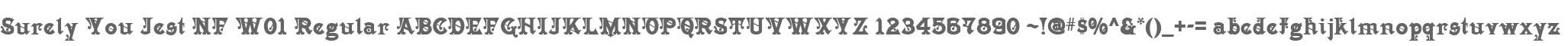 Surely You Jest NF W01 Regular