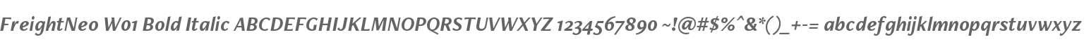 FreightNeo W01 Bold Italic