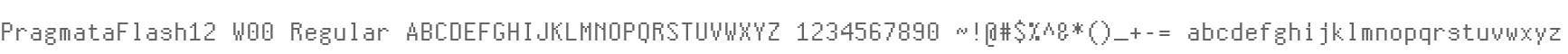 PragmataFlash12 W00 Regular