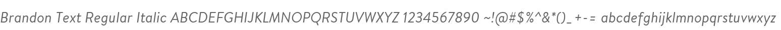 Brandon Text Regular Italic