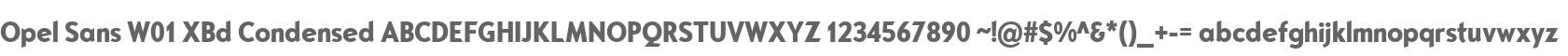 Opel Sans W01 XBd Condensed