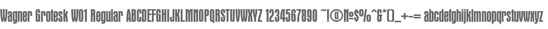 Wagner Grotesk W01 Regular